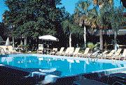 Magic Tree Resort, Kissimmee, FL, United States, USA, 